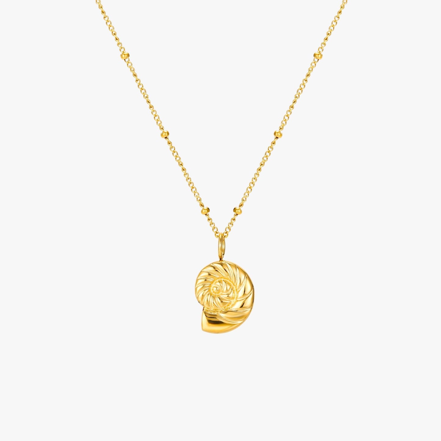 Collar de nautilus