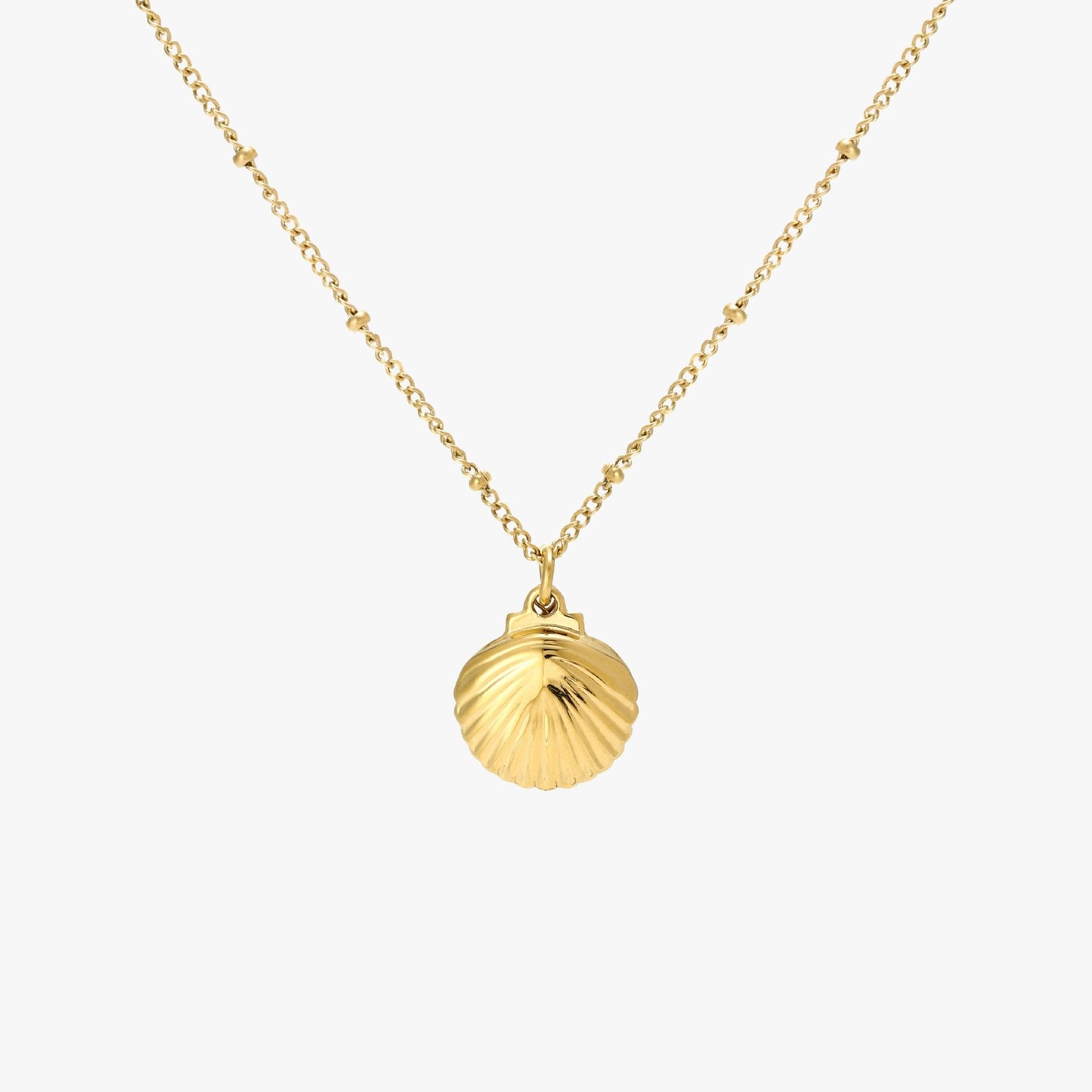 Seashell Necklace