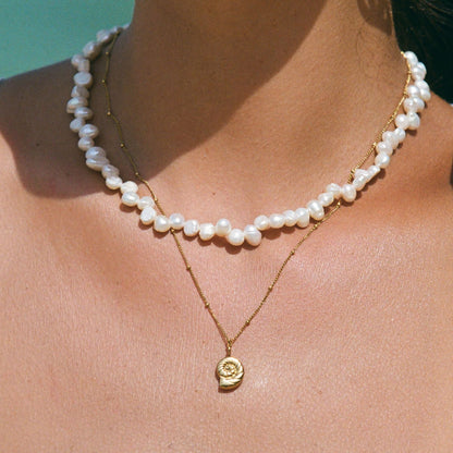 Collar de nautilus