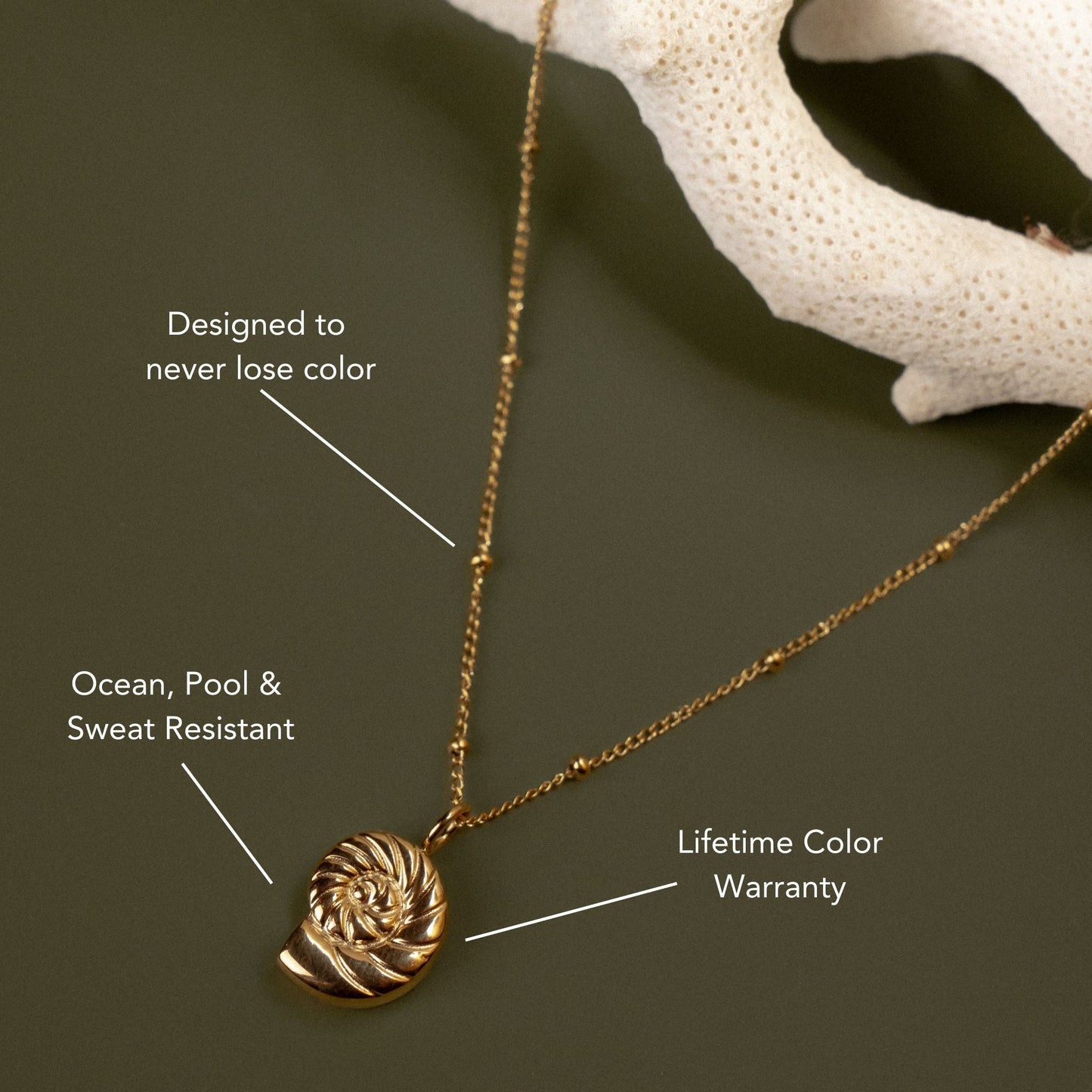 Collar de nautilus