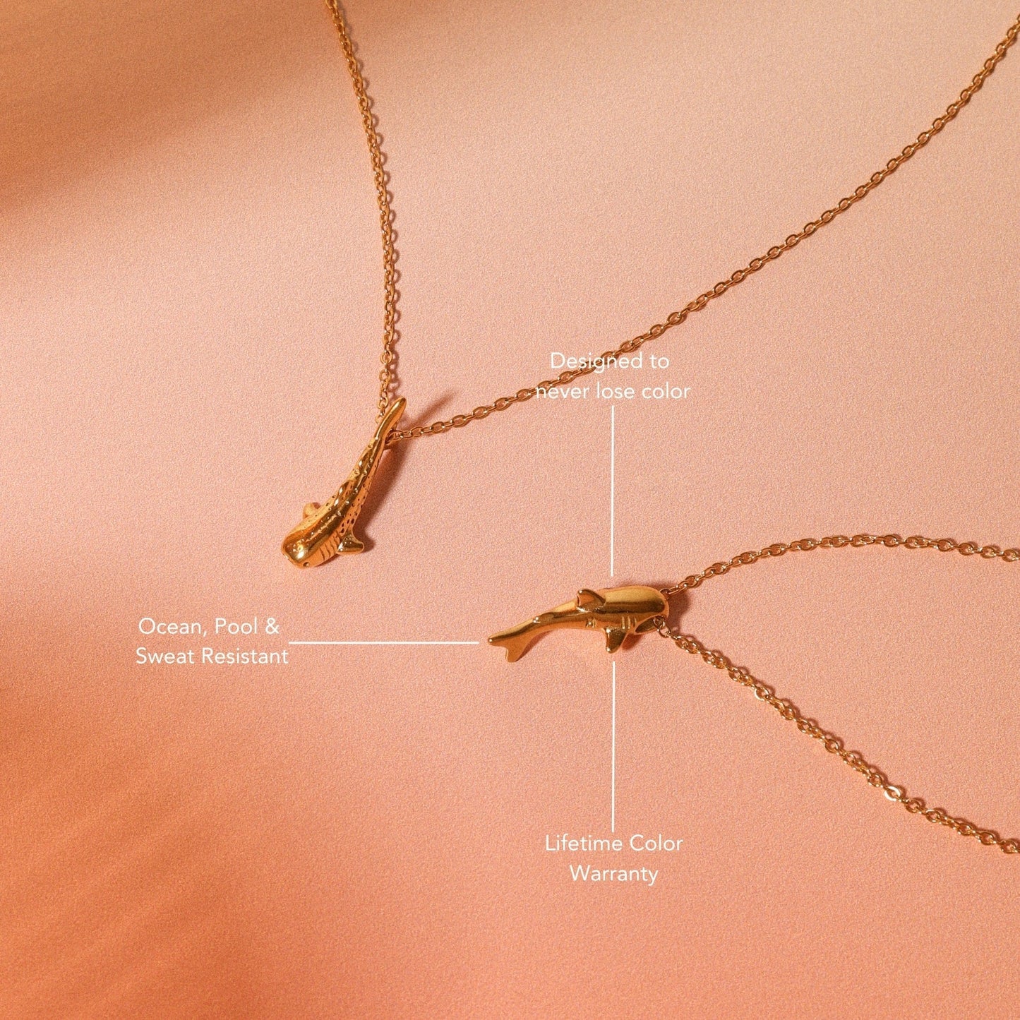 Collar de tiburón