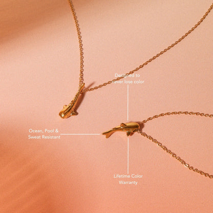Collar de tiburón
