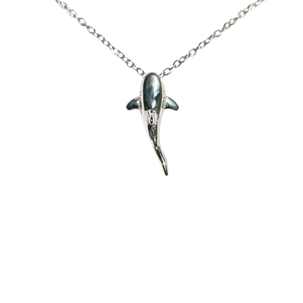 Collar de tiburón