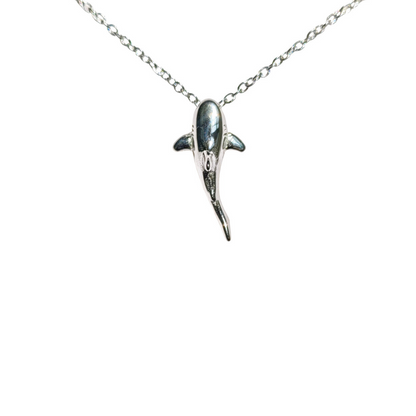 Collar de tiburón