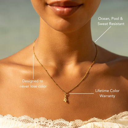 Collar de Ballena
