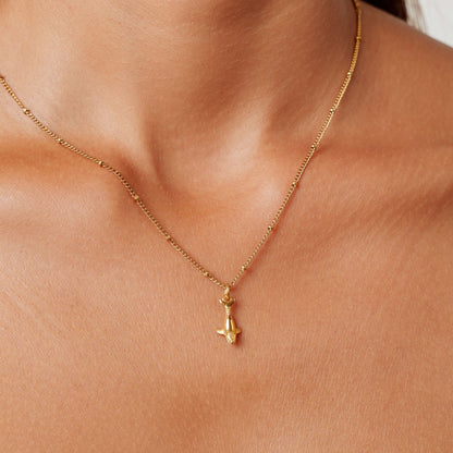 Collar de Ballena