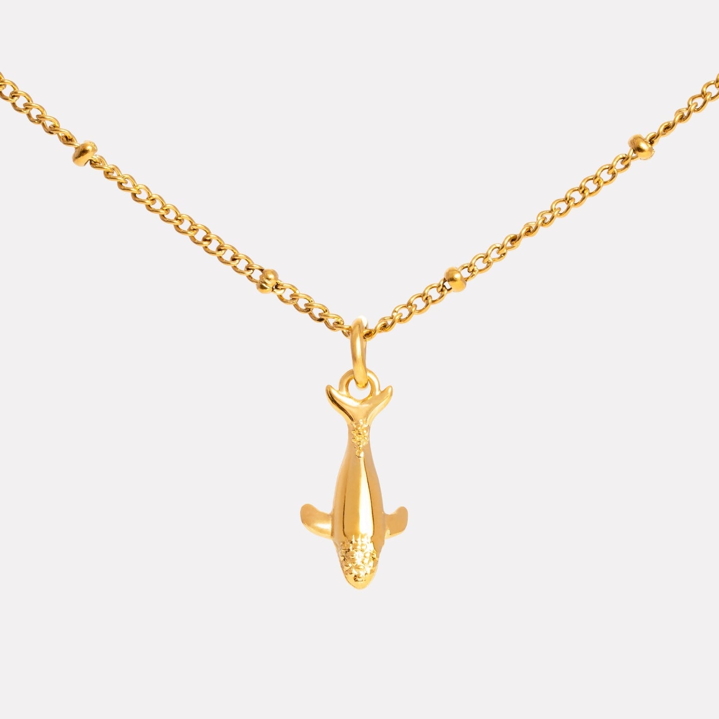 Collar de Ballena