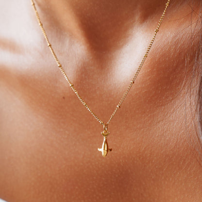 Collar de Ballena