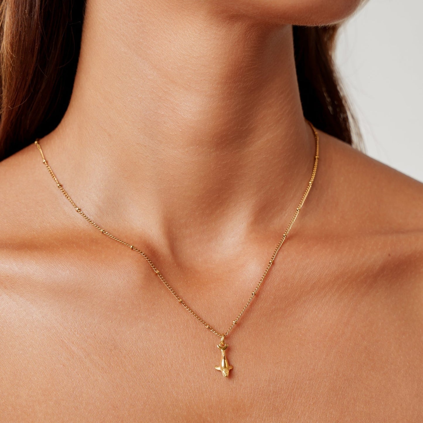 Collar de Ballena