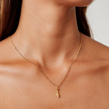 Collar de Ballena