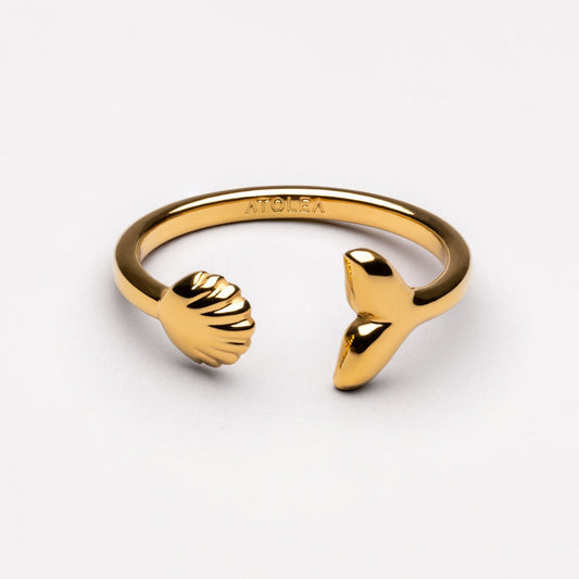 Anillo insular